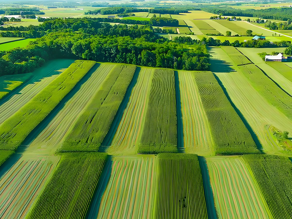 Sustainability